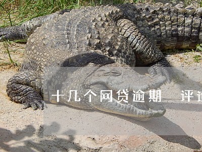 十几个网贷逾期 评论 十几个网贷逾期 评论